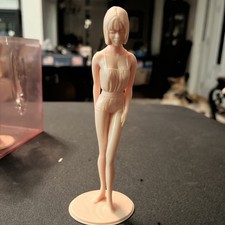 Marx Campus Cuties On The