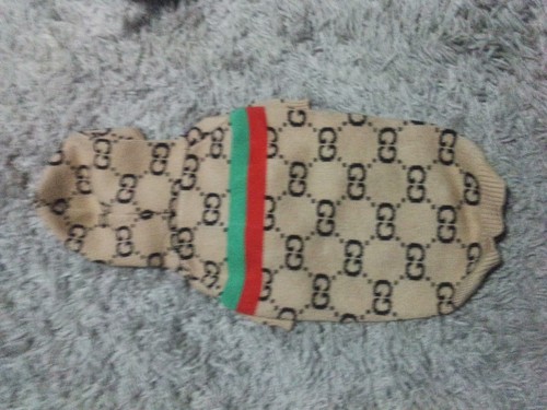 Knit warm dog - dog, gg