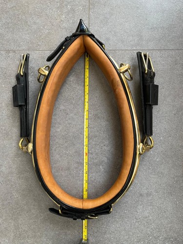 English full collar - full,