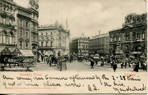 Horse carts and - horse, &