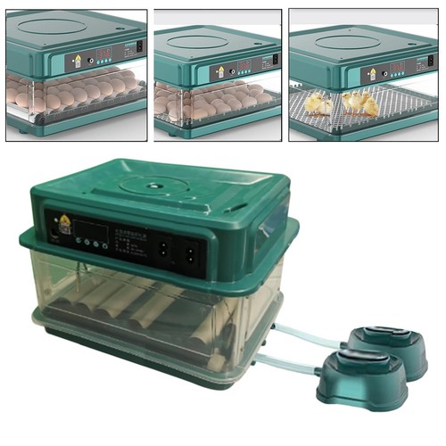 Automatic egg chicken hatcher - automatic,