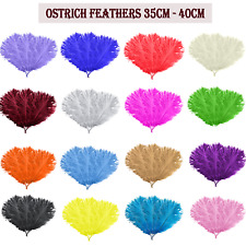 Premium Beautiful Ostrich Feathers Fly Plume Craft Hat Arts Decorations Party UK