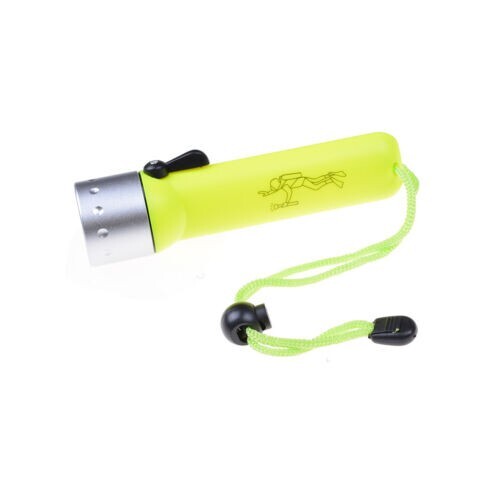Professional led diving - professional,