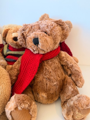 House fraser bear - house,