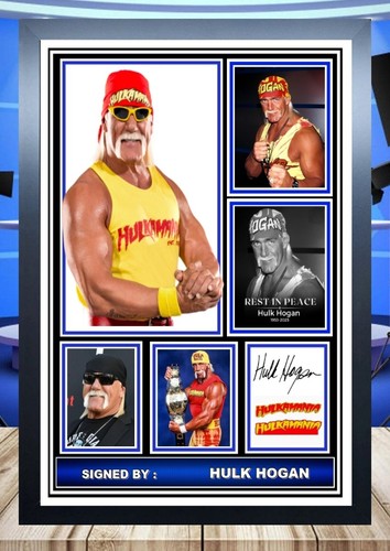 Hulk hogan wwe - (345),