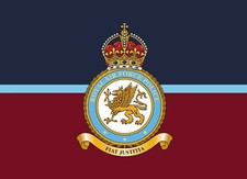 Royal Air Force Police metal wall plaque / door sign personalised