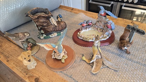 Collection animal - collection, of