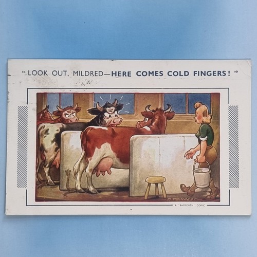 Comic postcard c1937 zoo - comic,
