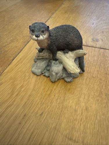 Border fine arts otter - fine,