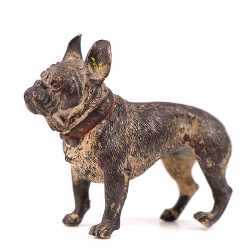 Bronze french bulldog - bronze,