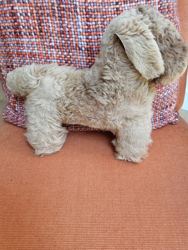 Vintage sheepskin terrier toy - sheepskin,