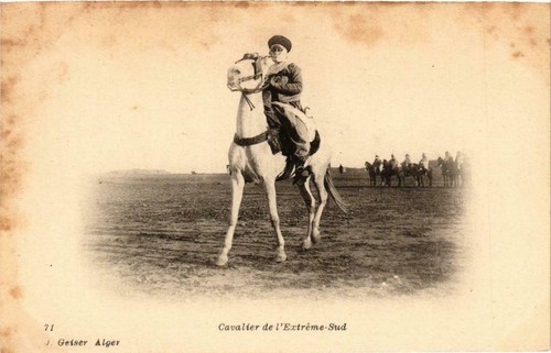 Old postcard algeria geiser - postcard,