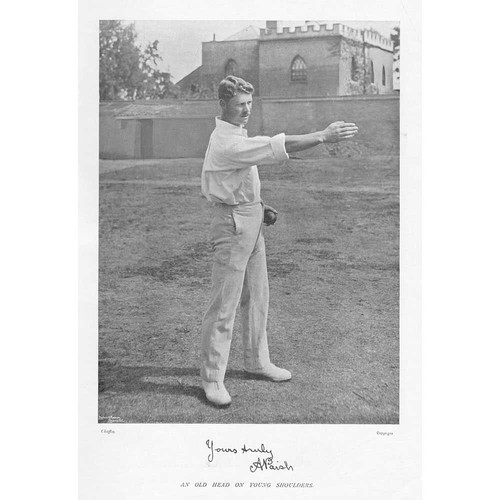 Cricket paish - cricket, a.