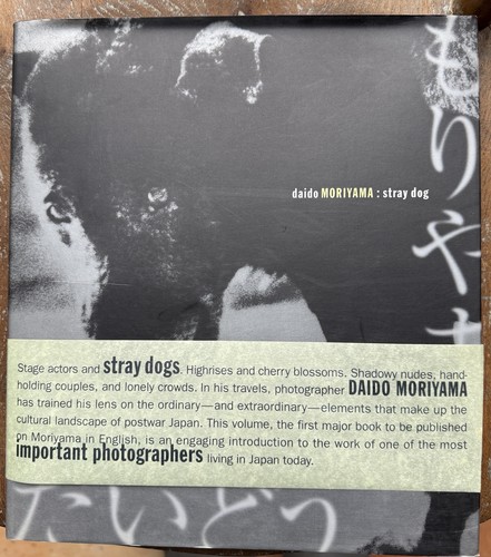 Daido moriyama stray dog - daido,