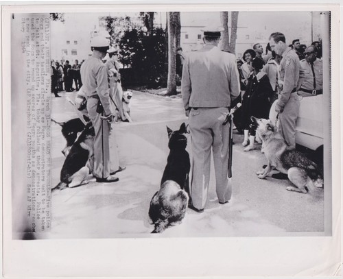 Negro protest police - &,