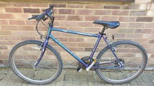 Raleigh Amazon fire Retro MTB