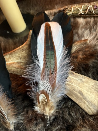 Smudging feather fan wand - fan, d20