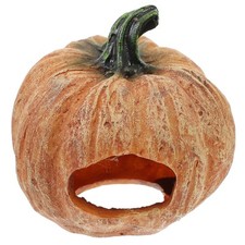  Reptile Tank Accessories