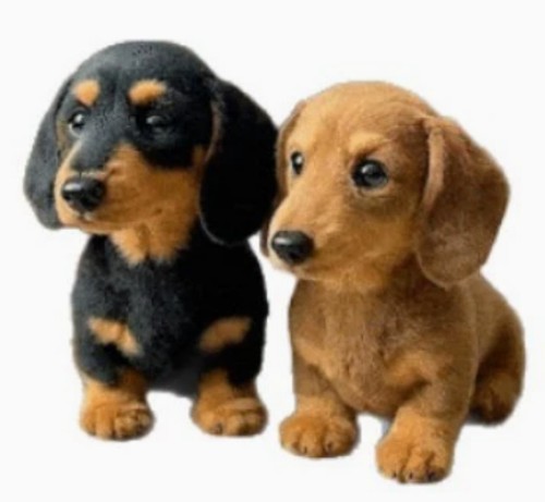 Realistic dachshund simulation - realistic,