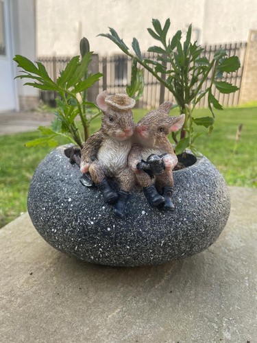 Rabbits trough planter - trough,