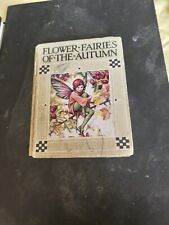 Flower Fairies Of The Autumn