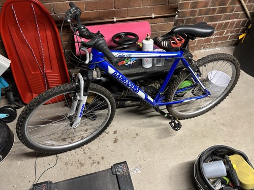 Mountain bike - mountain,