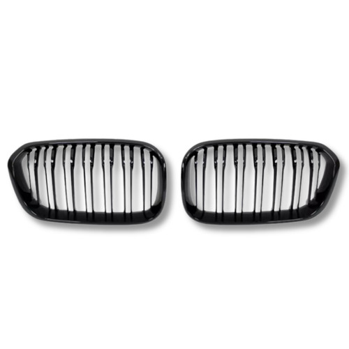 Bmw series front - 1, kidney