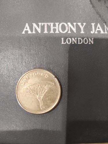 2014 gibraltar one pound - 1,