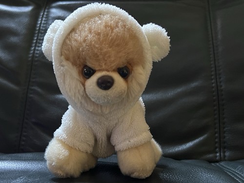 Boo official the cutest - official, dog