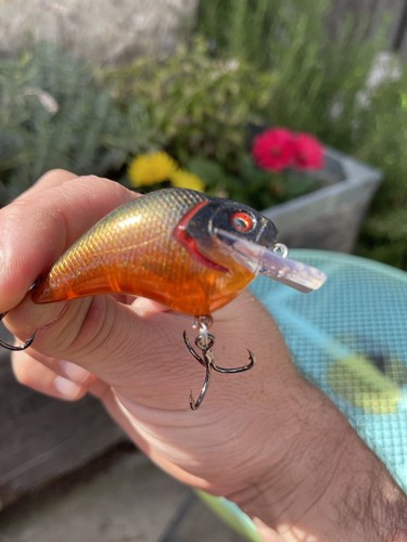 Custom painted crankbait - custom,