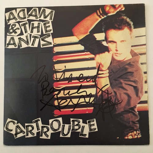 Adam the ants - ants,