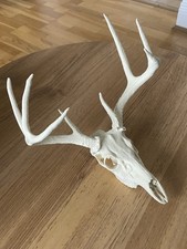 Artificial Deer with Antlers
