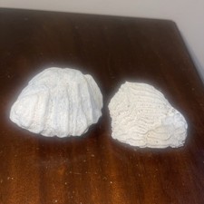 Vintage brain coral two pieces - coral,