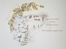 Christmas Card Inserts x 20 To