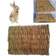 2 Pcs Large Size Rabbit Chew