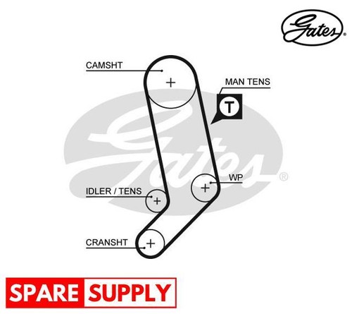 Timing belt for - belt,