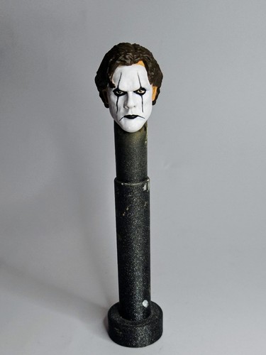 Sting crow wcw painted custom - sting,