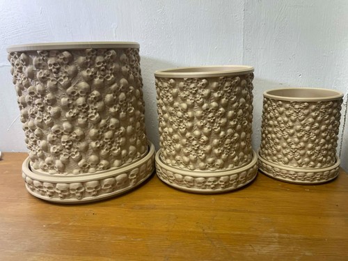 Skull plant pot - skull,