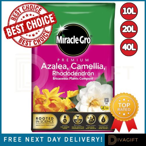 Ericaceous compost azalea - ericaceous,