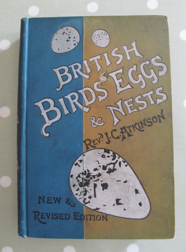 British birds eggs and - british,