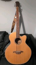 Freshman Electro Acoustic Bass