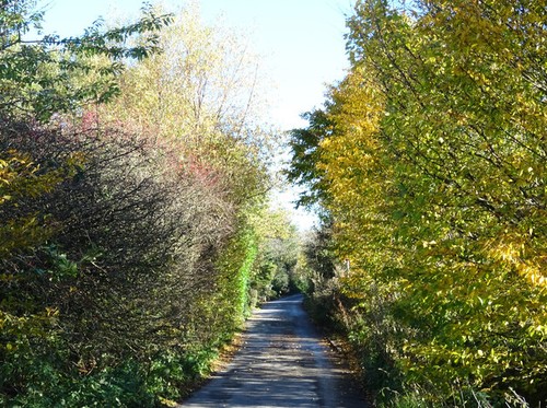 Photo 6x4 tunshill lane - tunshill,