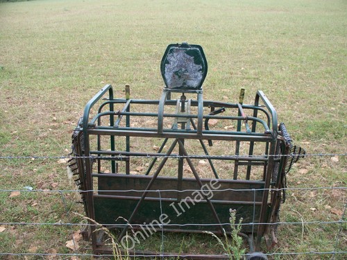 Photo 6x4 sheep scales - sheep,