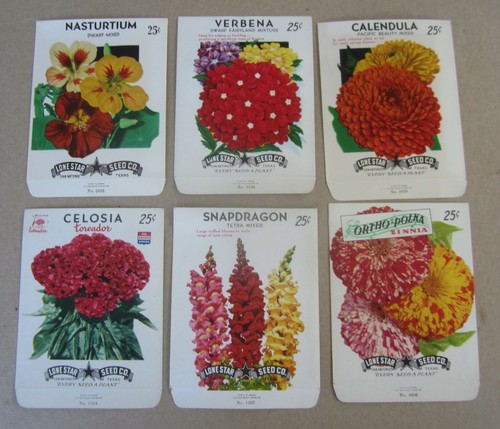 Lot old vintage - lot,
