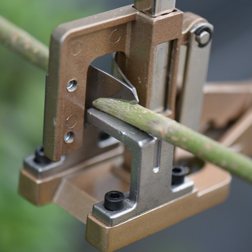 Fruit tree grafting tool - tree, style