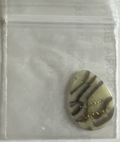 David gilmour guitar plectrum - david,