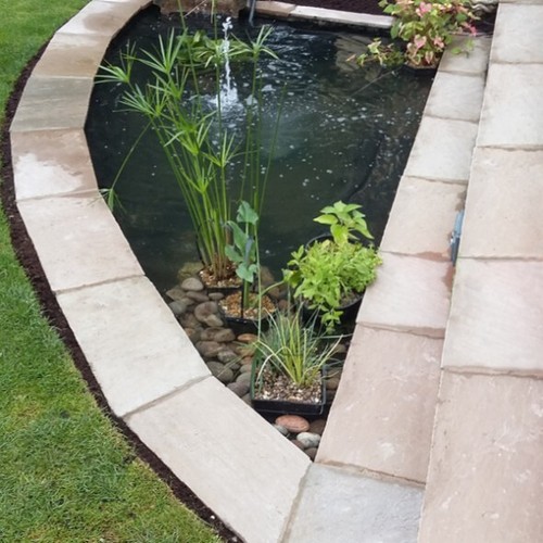 Raj green sandstone 600x290 - green,