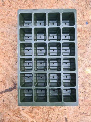 Cell seed plant - 24, seed,