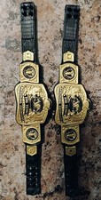 2 WWE Elite World Tag Team