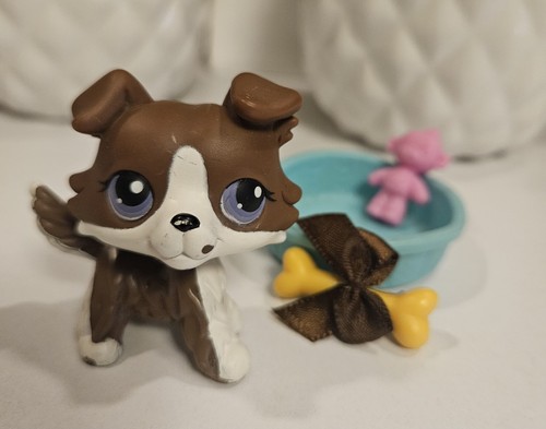Littlest pet shop lps - ✨️littlest,